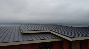 Best Roof Ventilation Installation  in Belleville, WI